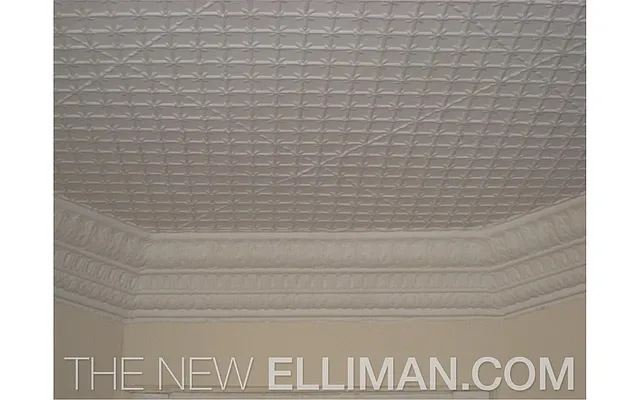 Sold by Douglas Elliman | media 17