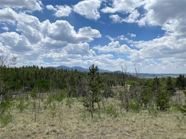 0 TBD Al Gulch Road LOT 188, Jefferson, CO 80456