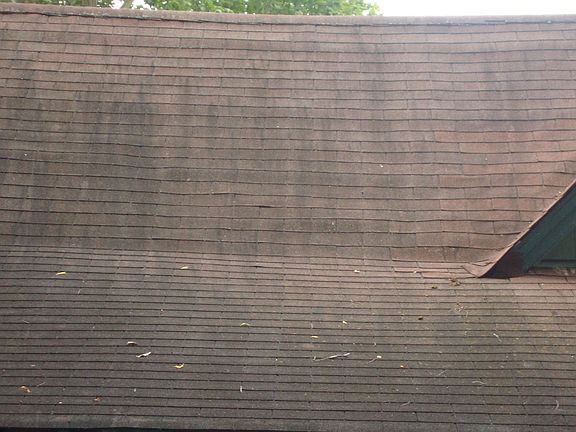 3rd image of 1908 Cephas St