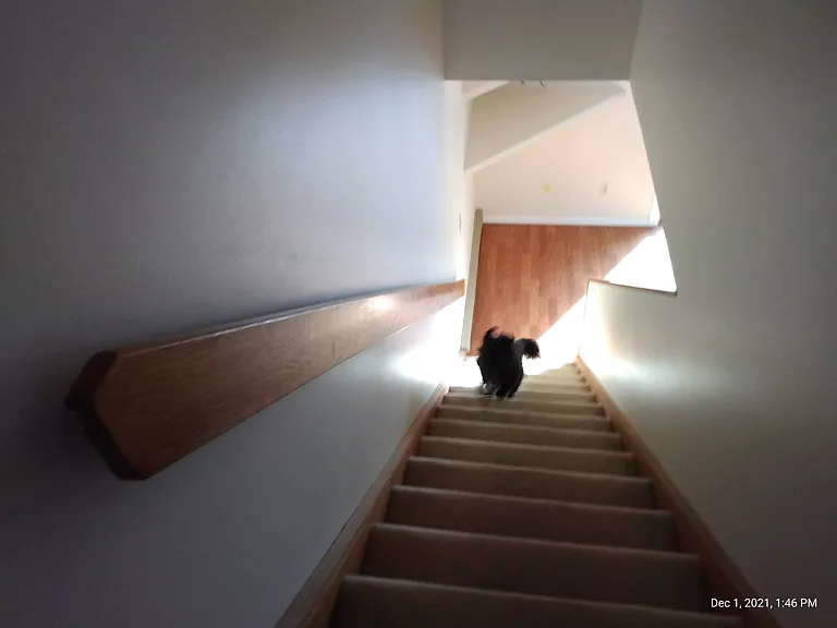 29 Overlook Dr — Photo 9