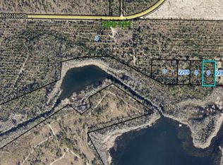 LOT 3 Cove Dr, Donalsonville, GA 39845