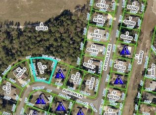 0 Puritan Ln, Spring Hill, FL 34608