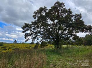 128 Cook Ln, Mills River, NC 28759