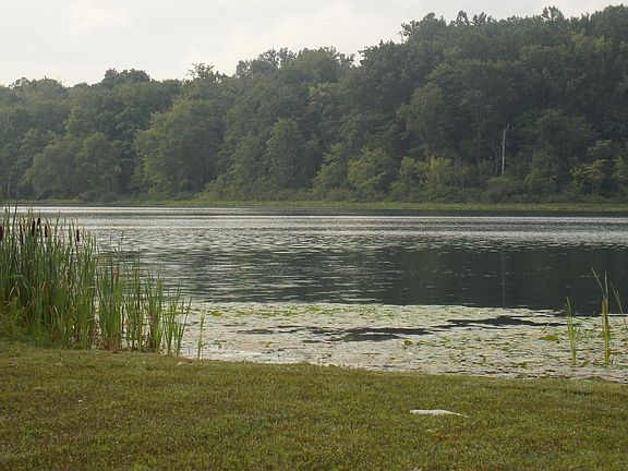 5th image of LOT 10 Long Lake Dr