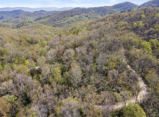 Tbd Dennis Cove Rd, Hampton, TN 37658
