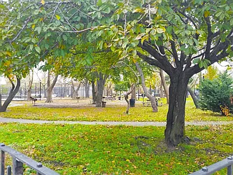 Rented by Bridge Realty