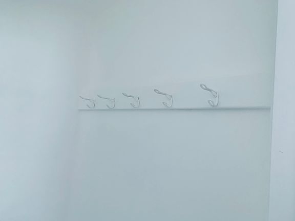 Front foyer closet with hooks to hang hats jackets and bags