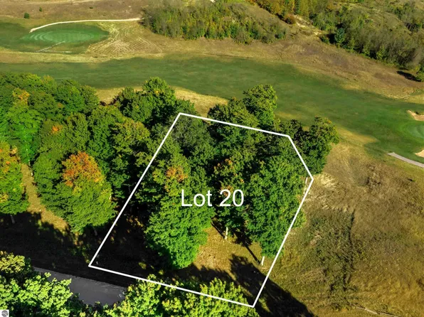 20 Heather Ridge Trl, Beulah, MI 49617