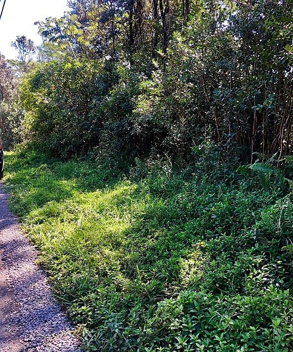 2nd image of 14th Avenue Laamia Lot 969