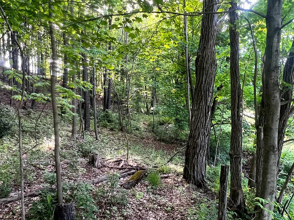 1st image of 1.1 County Road 29 #1