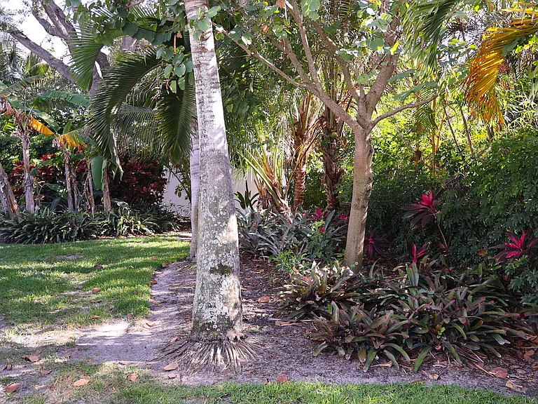 2554 Outrigger Ln — Photo 16