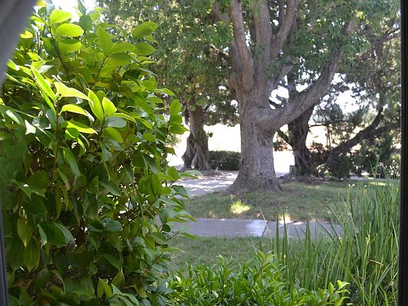 3rd image of 302 La Serena Way
