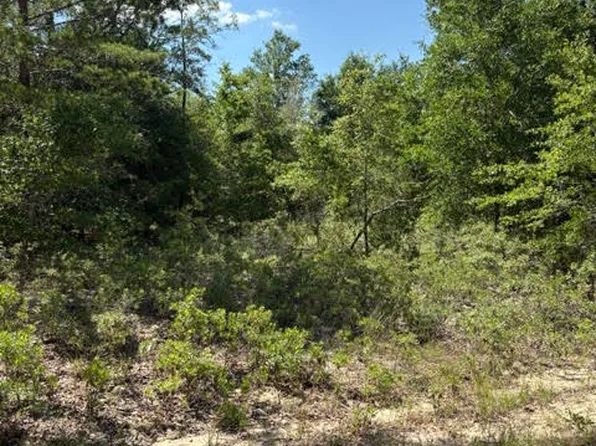 0 Pasofino Ln #M-2, Alford, FL 32420