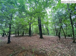 25 Coleman Dr, Sparta, NC 28675