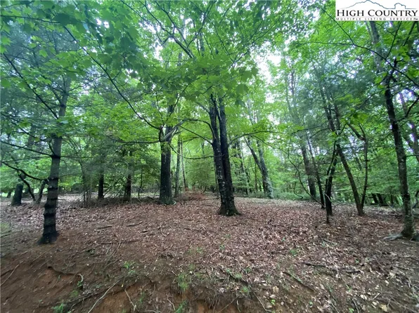 Lot 25 Coleman Drive, Sparta, NC 28675