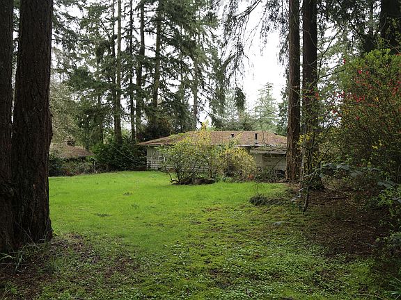 View to west from. back lot