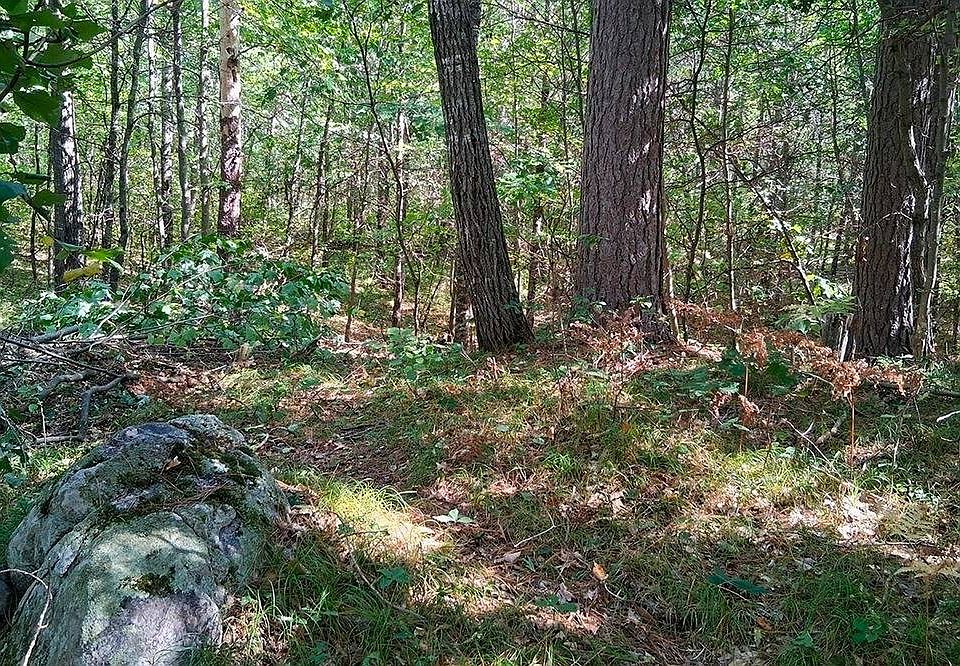 1st image of 18 W Rapids Rd Lot 18