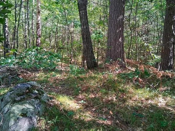 18 W Rapids Rd Lot 18, Lake Tomahawk, WI 54539