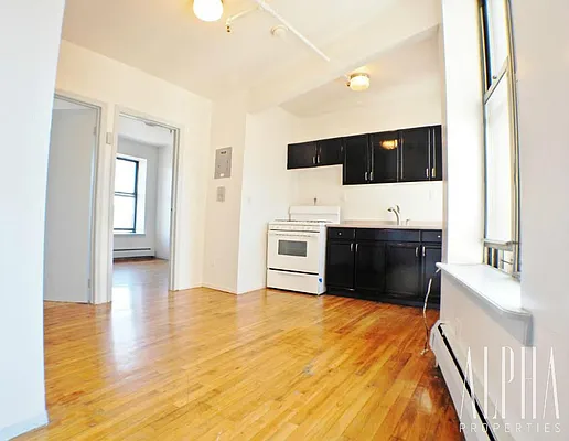 Rented by Alpha Properties NYC I LLC | media 33