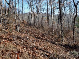 377 Elk Mountain Scenic Hwy, Asheville, NC 28804
