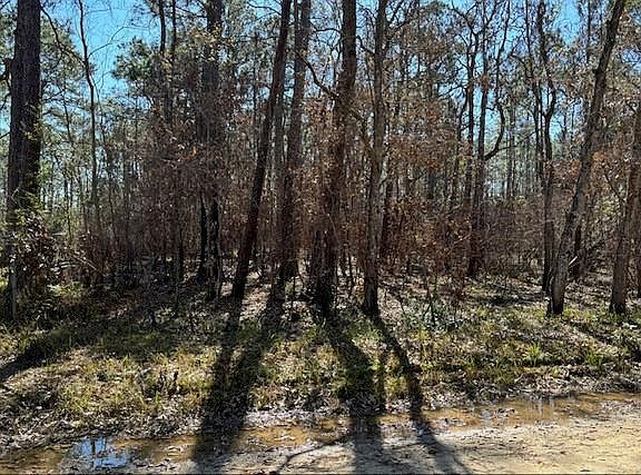 2nd image of 1869 Cedar Creek Cir
