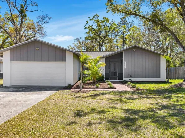 2425 Blind Pond Ave, Lutz, FL 33549