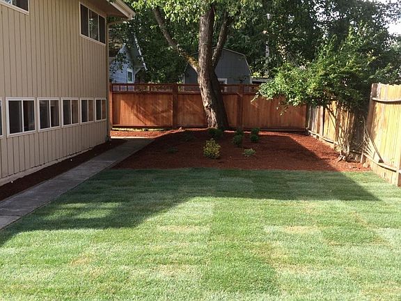 Back yard