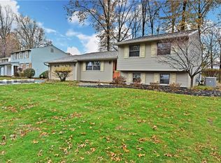386 Stahl Ave, Cortland, OH