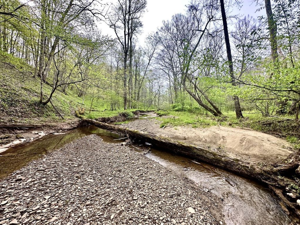 Real estate listing image
