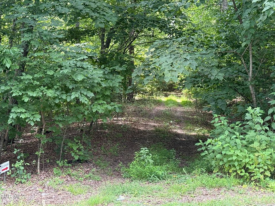 2nd image of Mossy Hollow Rd