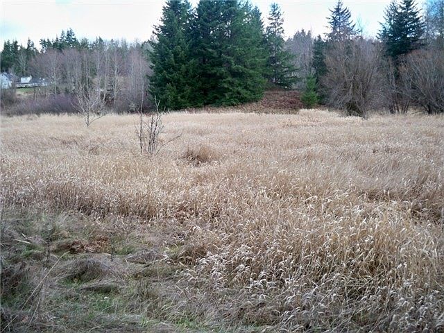 2nd image of 330 McMillan Rd