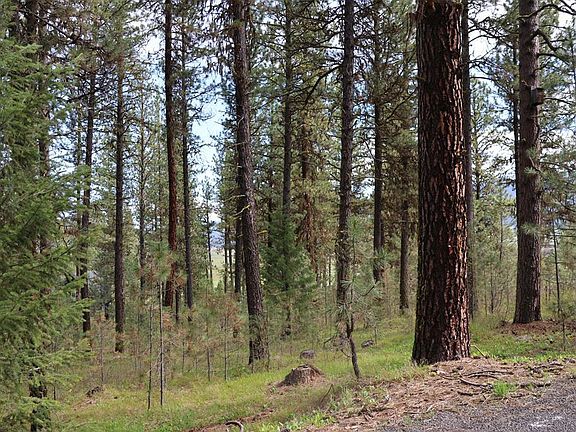 2nd image of Tbd Hot Springs Rd