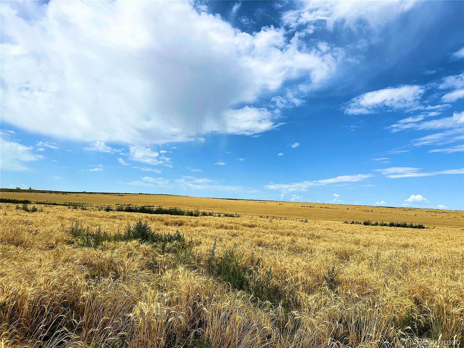 County Road 4, Roggen, CO 80652 MLS 2795423 Zillow