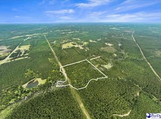 McDuffie Ln, Cheraw, SC 29520