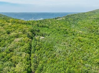 1867 Big Ridge Rd, Spring City, TN 37381