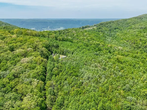 1867 Big Ridge Rd, Spring City, TN 37381