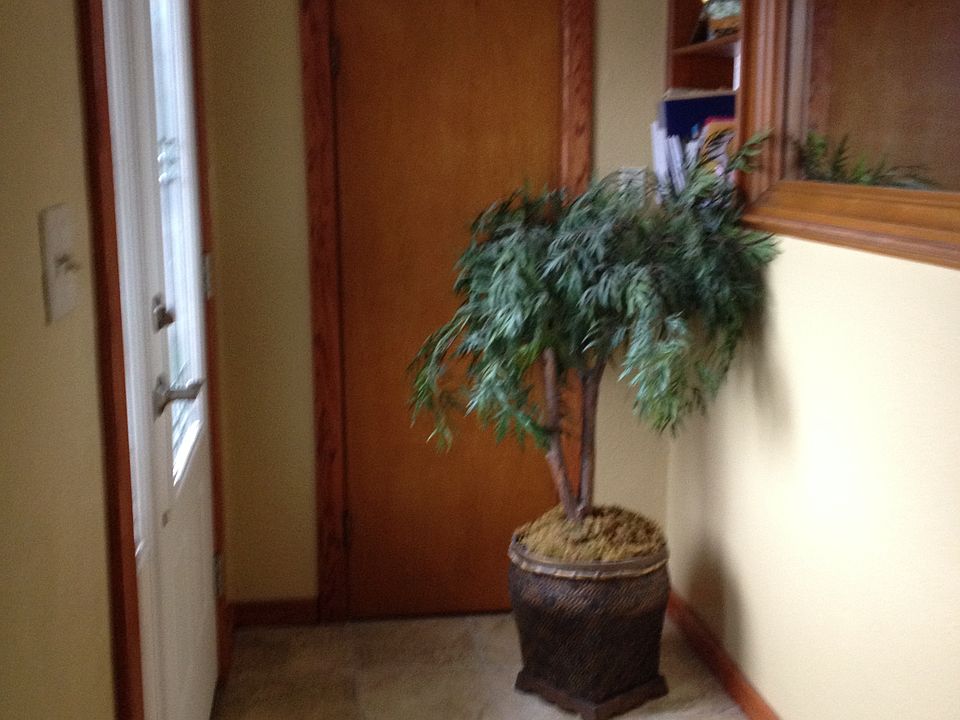 Front door entrance