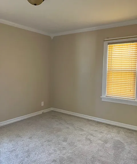 Bedroom on main level with freshly painted walls and ceiling