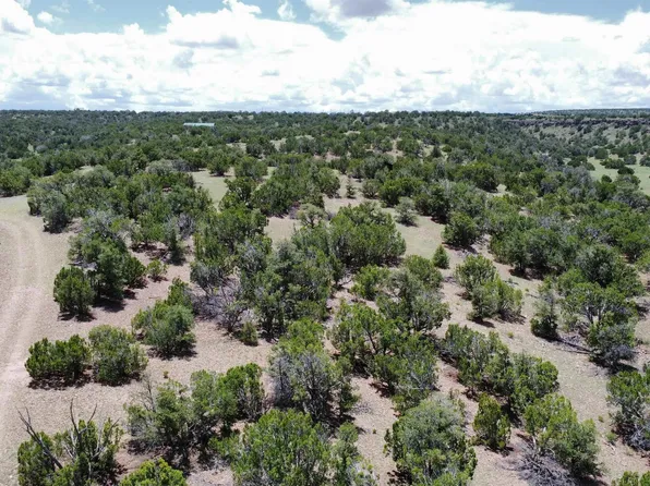 46 Cimarron Dr, Quemado, NM 87829