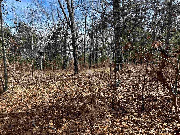 2nd image of 001-00639-001 County Road 230