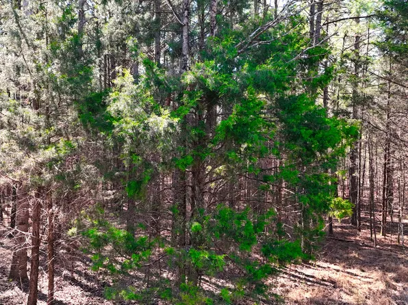 0 Bishop Rd Lot 7, Middleton, TN 38052
