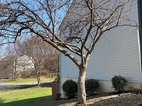 5th image of 17 Habersham Ct