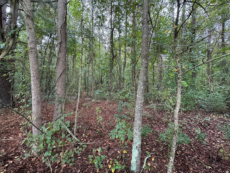 2nd image of James Martin Rd