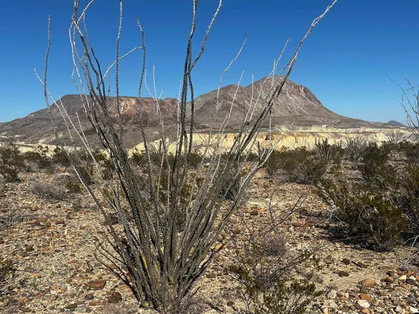 26946 Creekview Pid, Terlingua, TX 79852