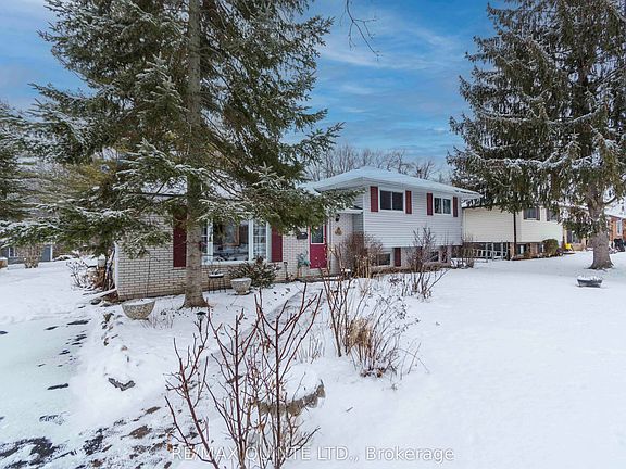 2nd image of 527 Montrose Rd