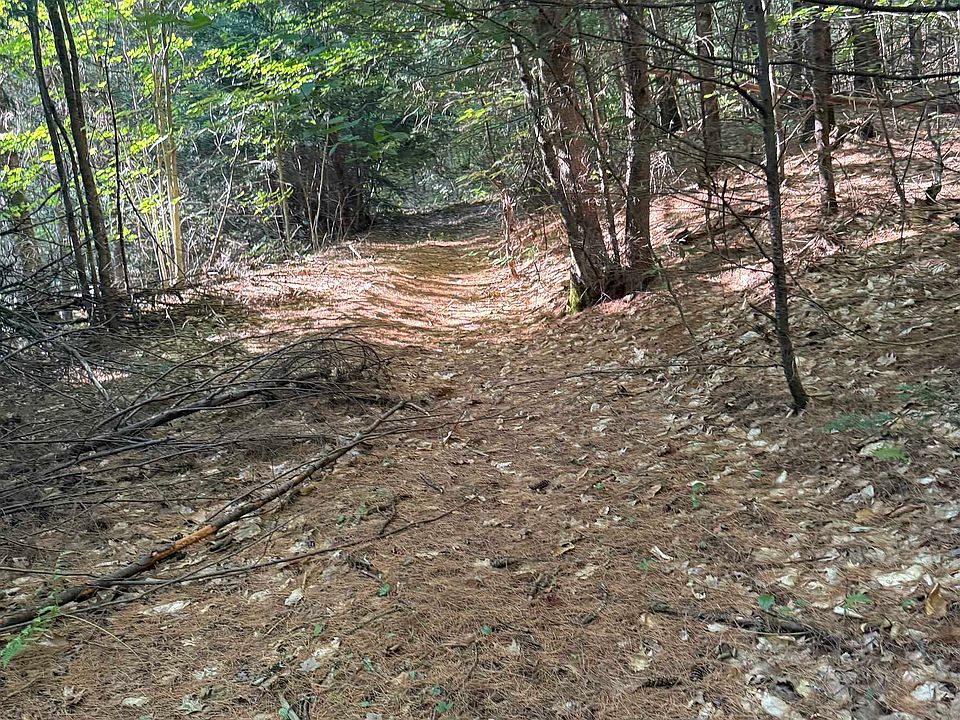 1st image of 60 Pound Road