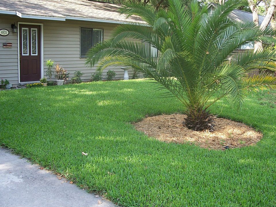 New St Aug Sod 