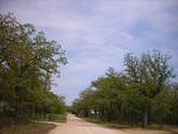 Photo of Mobile Home Lot