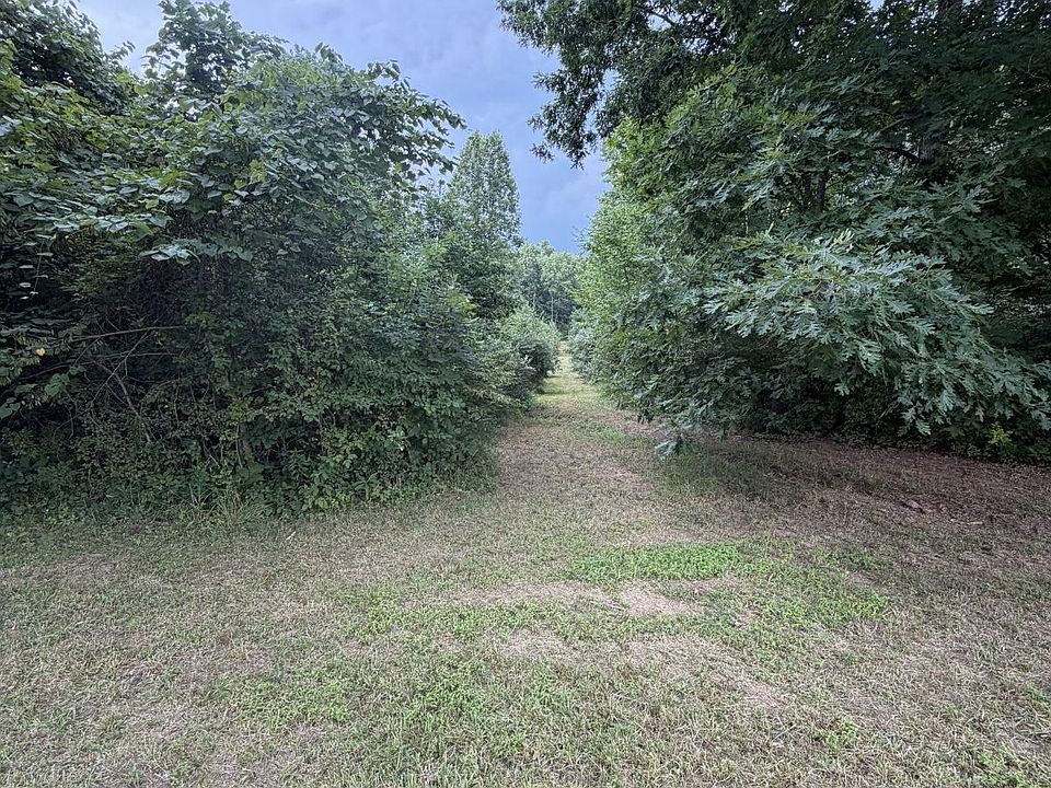 2nd image of Jonathan Ln