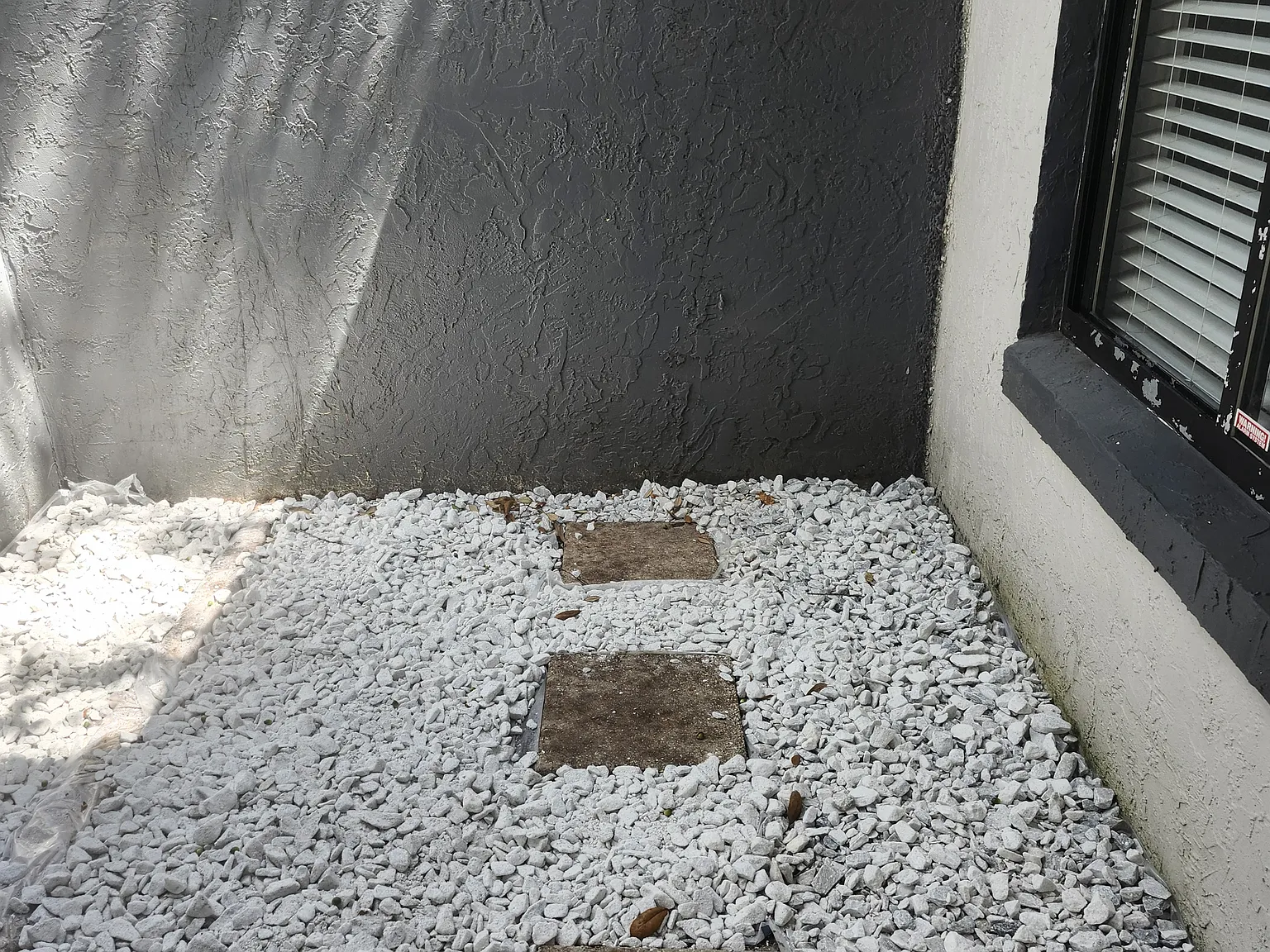 2 bed, 1000 sqft, $1,900 — Photo 3